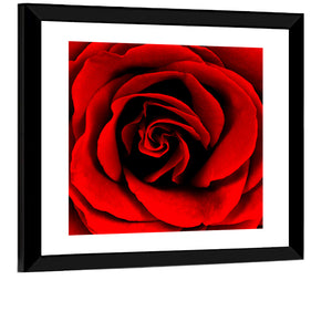 Red Rose Wall Art