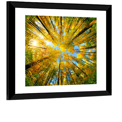 Autumn Foliage Wall Art