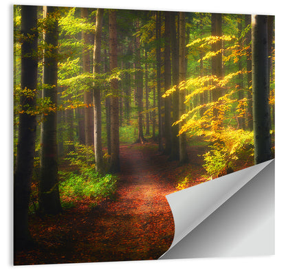 Autumn Forest Pathway Wall Art