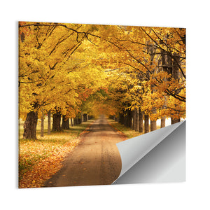 Autumn Road Wall Art