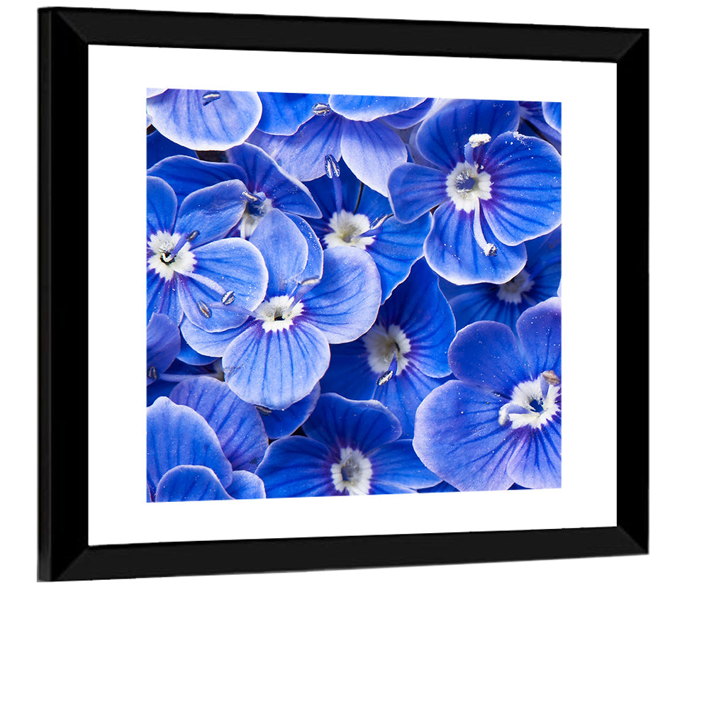 Blue Wildflower Close-up Wall Art