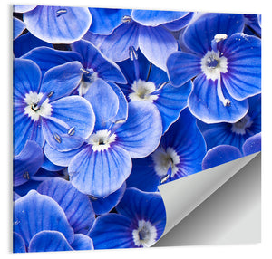 Wild Flowers Wall Art