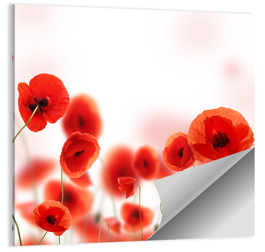 Red Poppy Field Wall Art