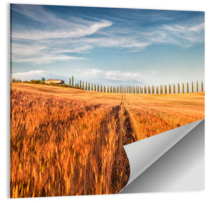 Tuscan Wheat Field Wall Art