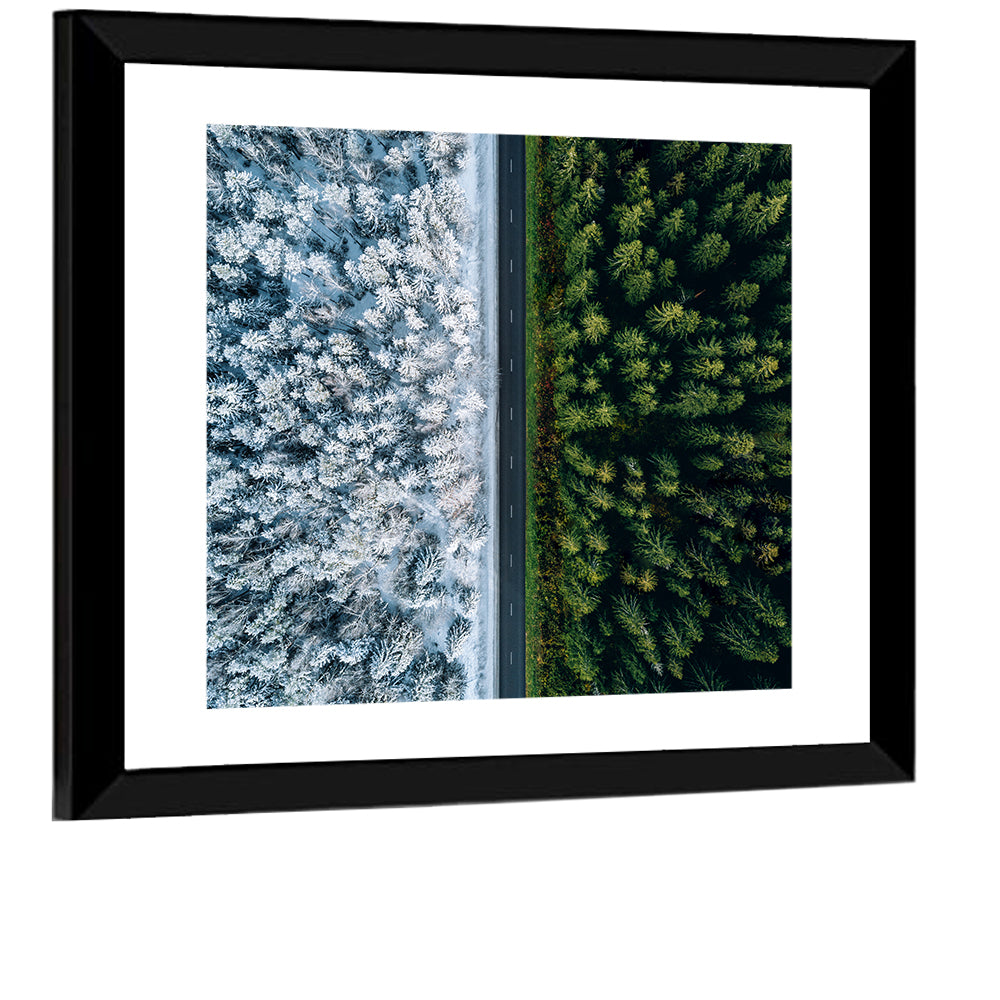 Summer & Winter Forests Wall Art