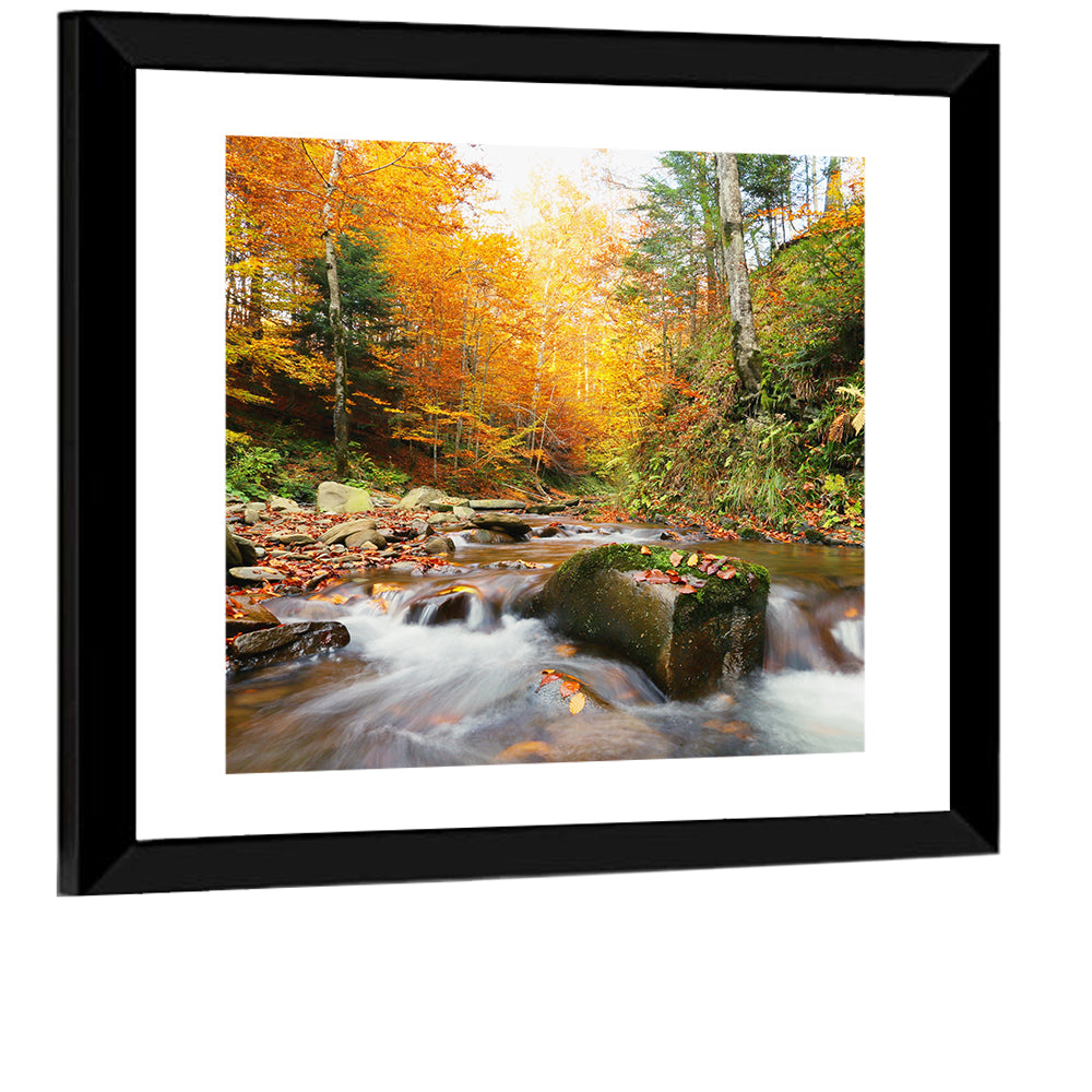 Forest Stream in Autumn Wall Art