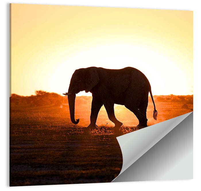 Golden Hour Elephant Silhouette Wall Art as a poster print