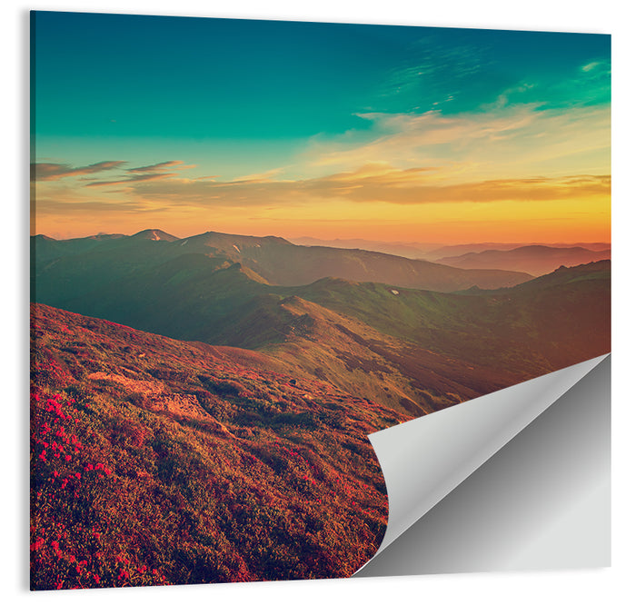 Alpine Rhododendrons at Golden Sunrise Wall Art as a poster print
