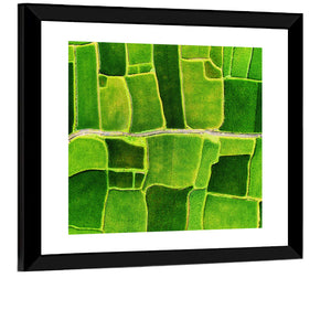 Green Rice Terraces Wall Art