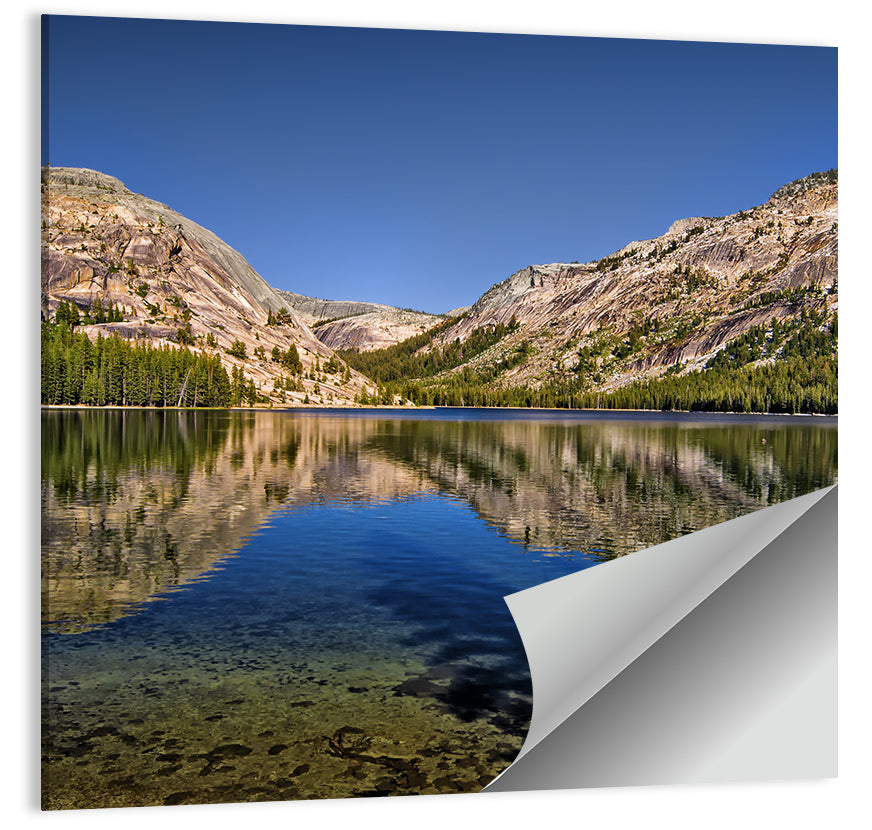 Tenaya Lake Reflection Wall Art