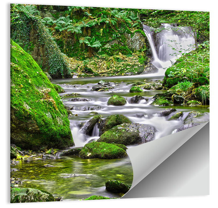 Mossy Forest Stream Wall Art as a poster print