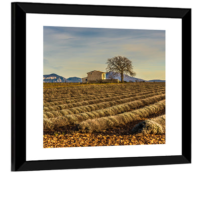 Provence Lavender Wall Art