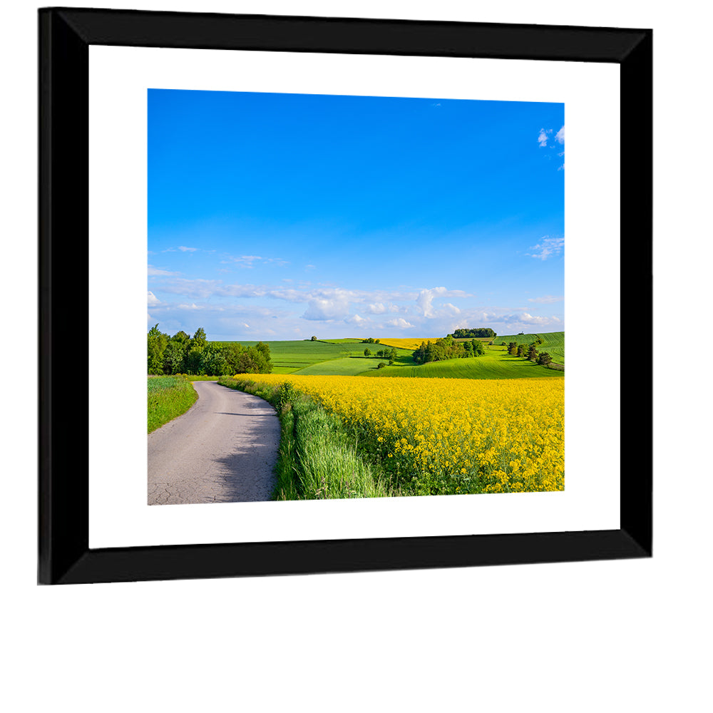 Rapeseed Field Road Under Blue Sky Wall Art