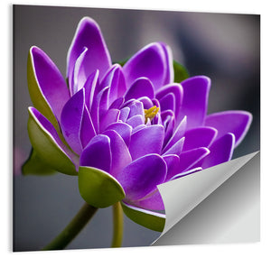 Purple Flower Wall Art
