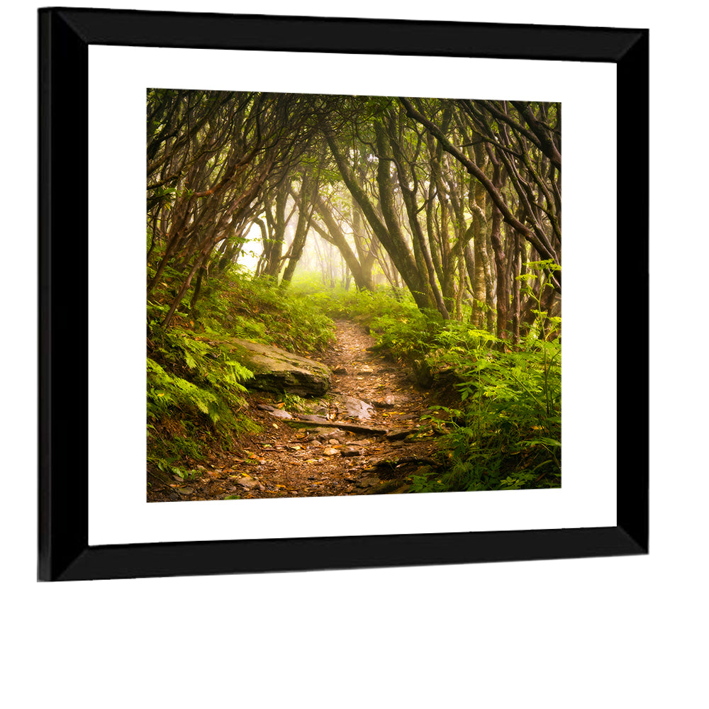 Craggy Gardens Hiking Trail Wall Art