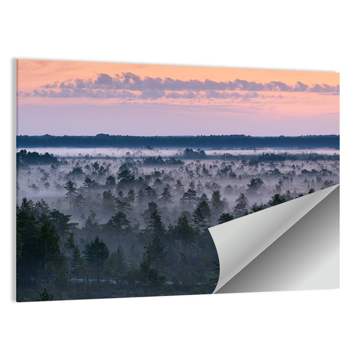 Estonian Misty Pine Landscape Wall Art as a poster print