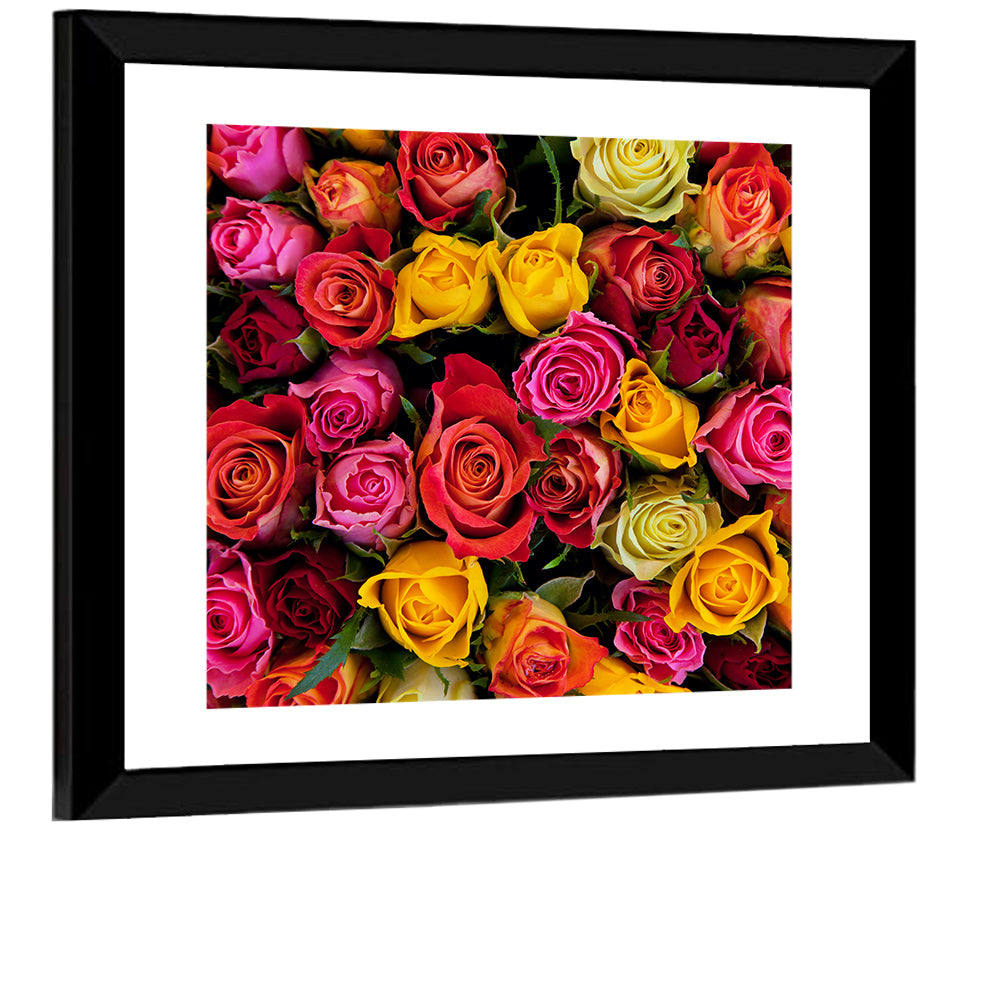Multicolored Roses Close-up Wall Art