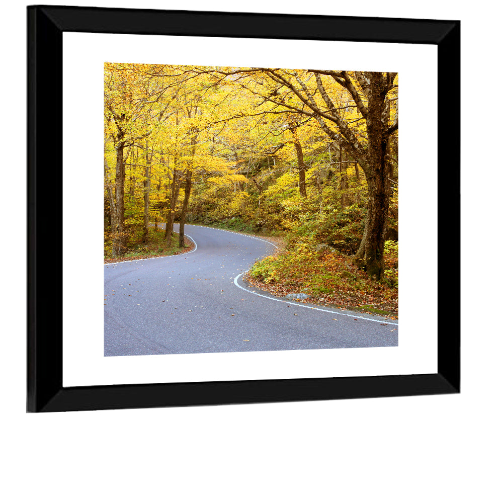 Road Through Fall Foliage Wall Art