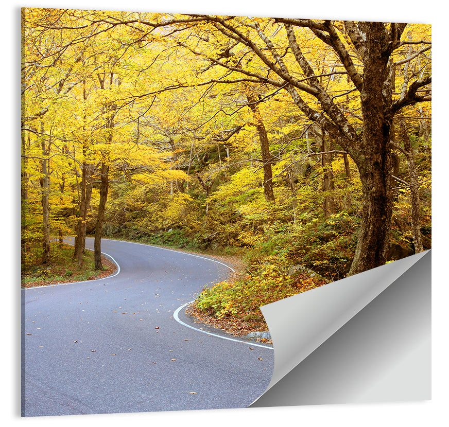 Winding Road Through Autumn Foliage Wall Art