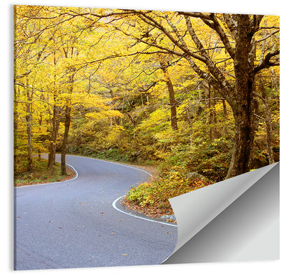 Road Through Fall Foliage Wall Art