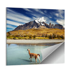 Torres Del Paine, Patagonia Wall Art