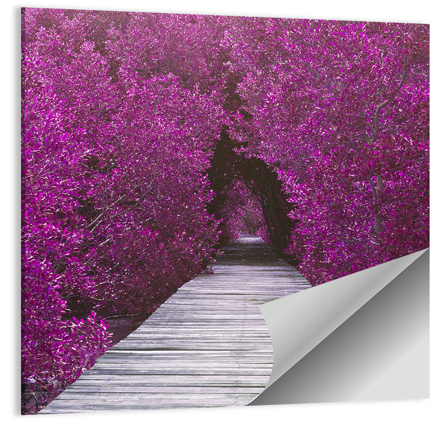 Magenta Mangrove Pathway Wall Art