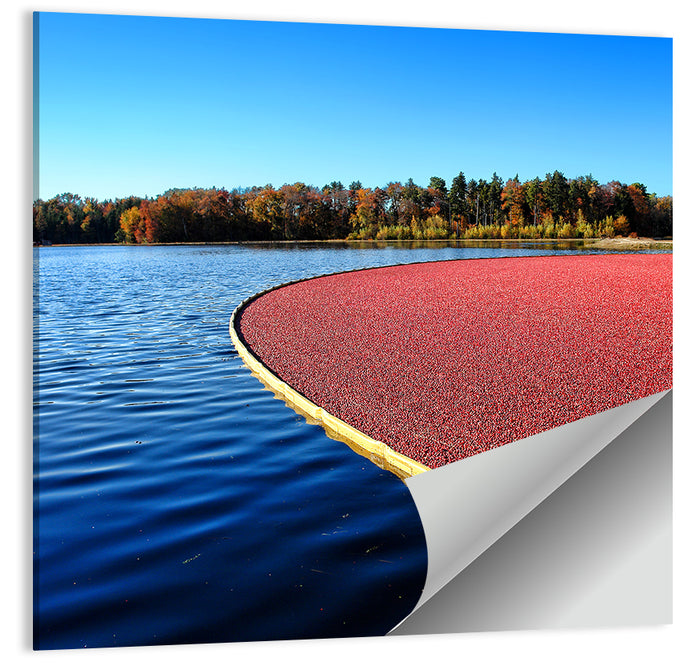 Flooded Cranberry Bog Wall Art as a poster print
