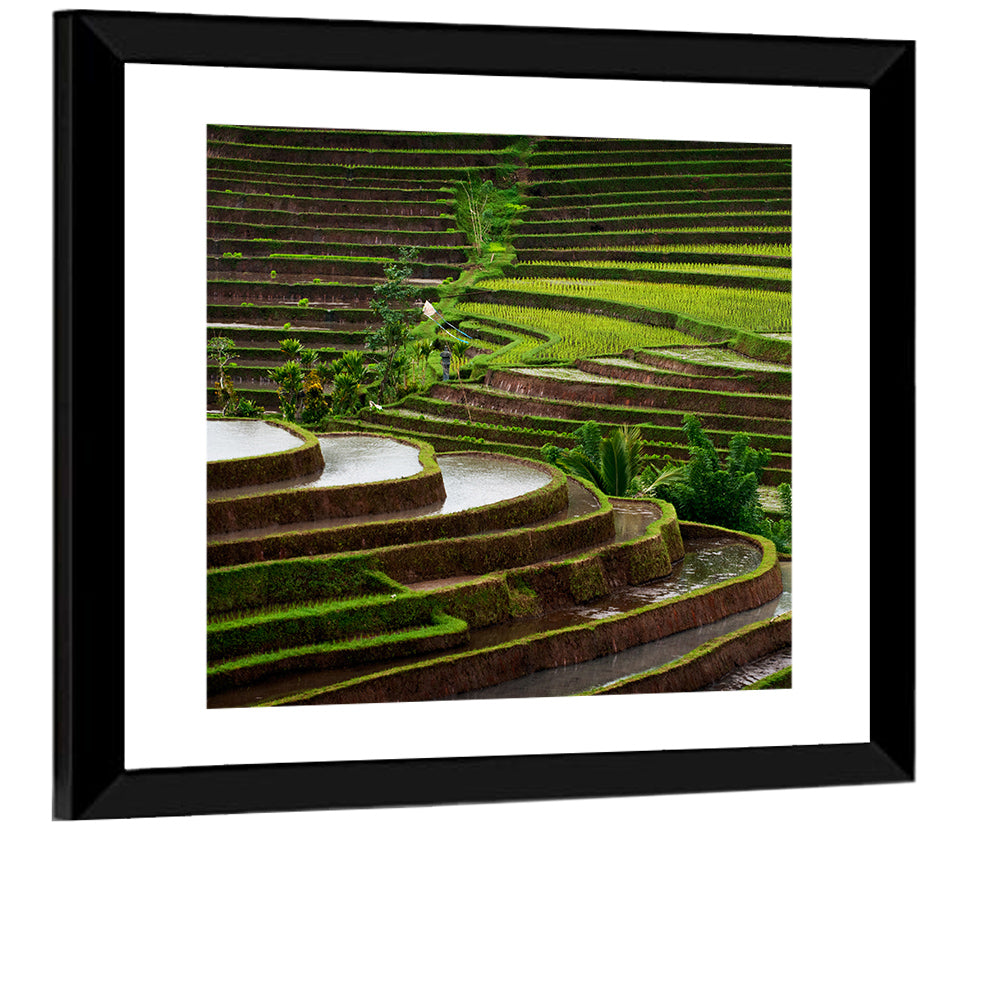 Rice Terraces Wall Art