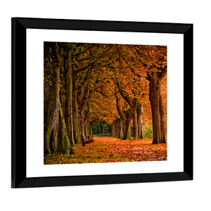 Forest Autumn Pathway Wall Art