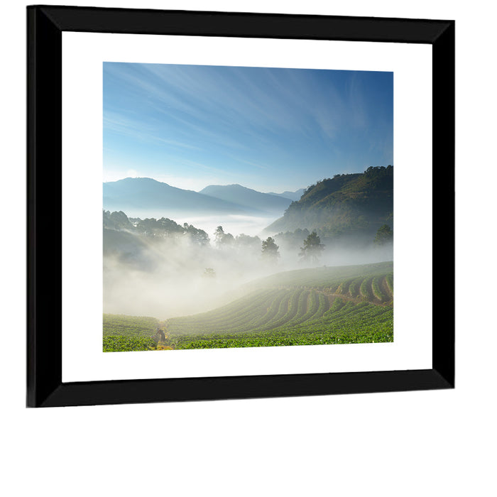 Sunlit Terraced Tea Hills Wall Art as a framed print