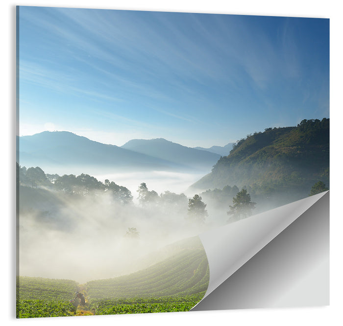 Sunlit Terraced Tea Hills Wall Art as a poster print