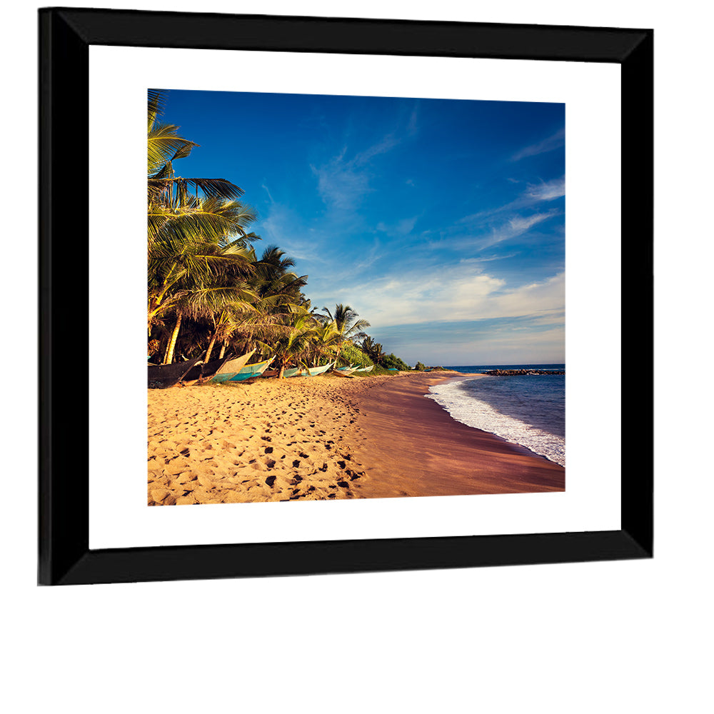 Mirissa Beach Morning Light Wall Art