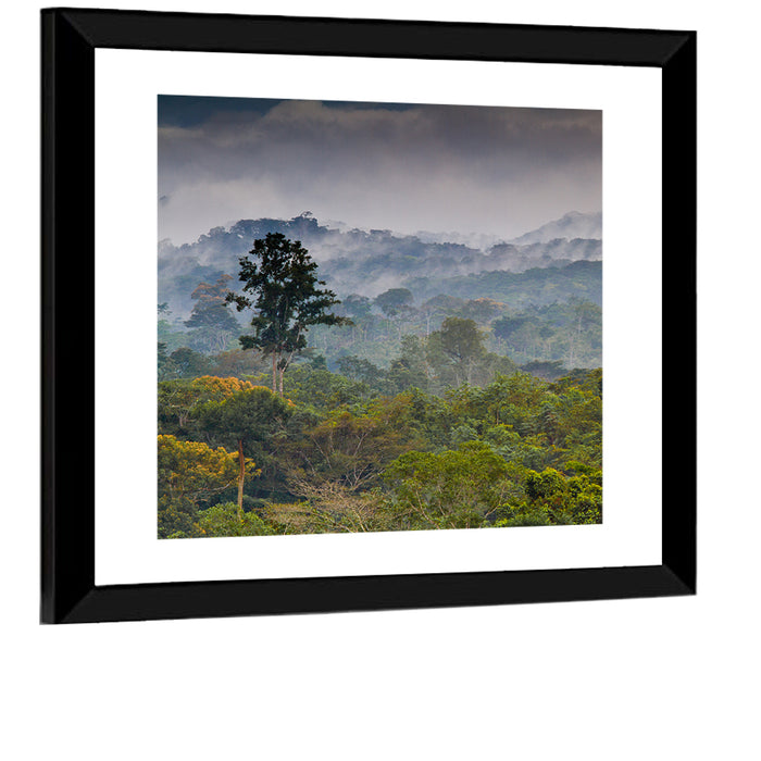 Guinea Rainforest Landscape Wall Art as a framed print