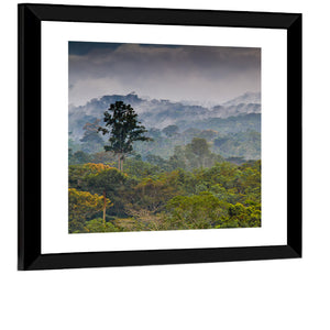 Rain Forest Guinea Wall Art