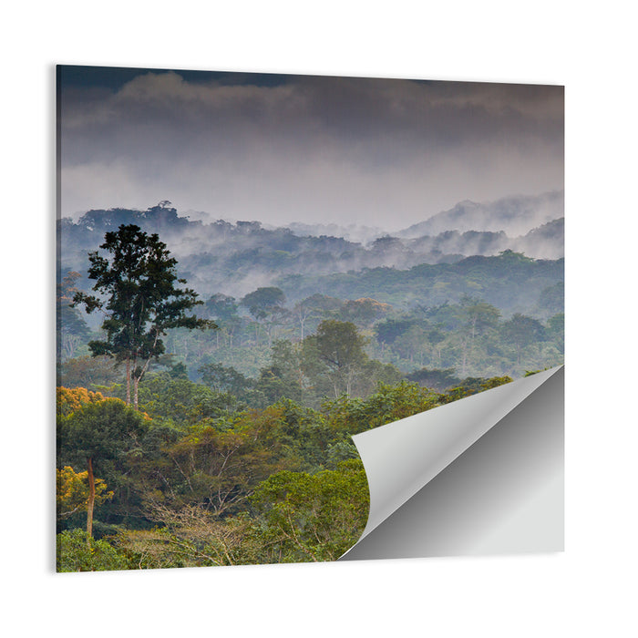 Guinea Rainforest Landscape Wall Art as a poster print