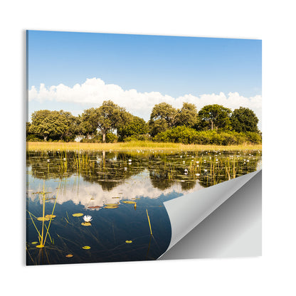 Okavango Delta Wall Art
