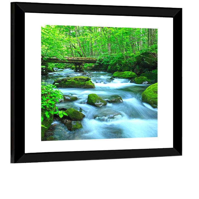 Mossy Forest Stream Wall Art as a framed print