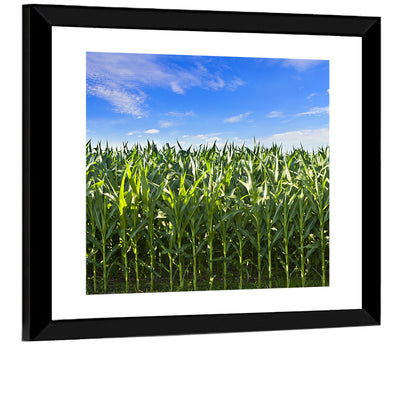 Green Corn Field Wall Art
