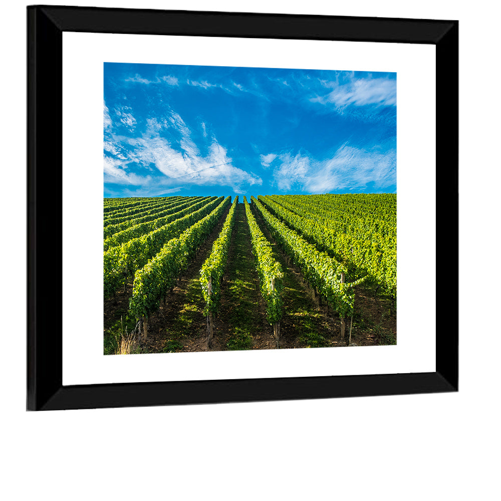 Luxembourg Vineyards Wall Art