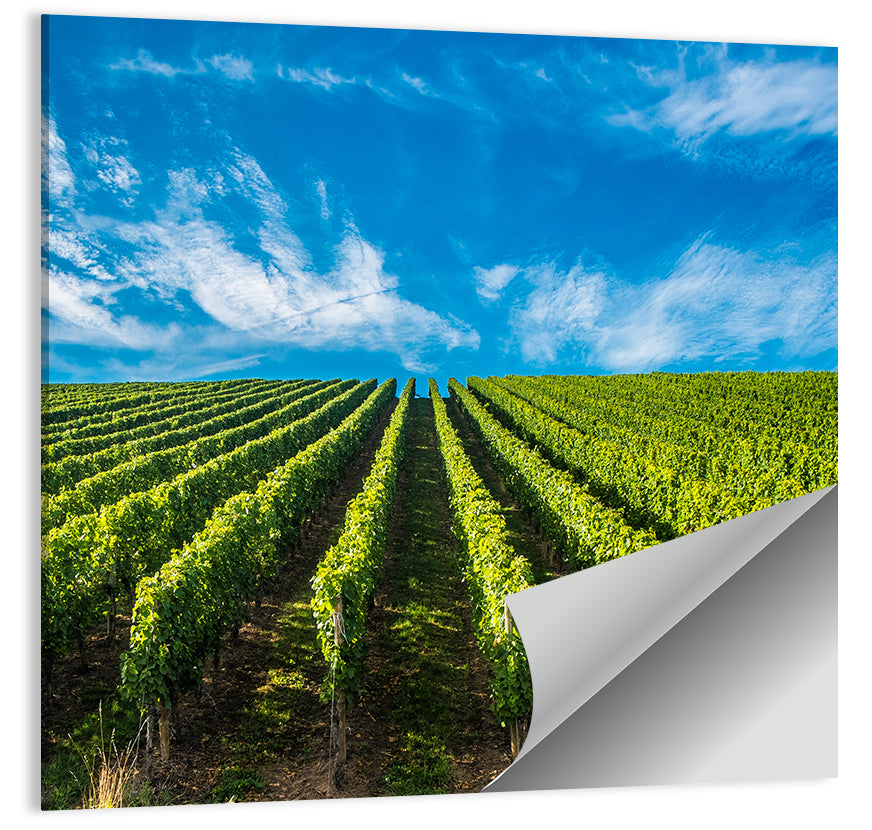 Luxembourg Vineyards Wall Art