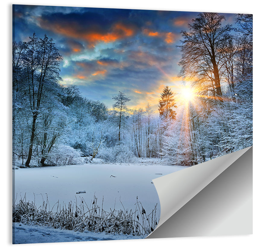 Frozen Forest Lake Wall Art