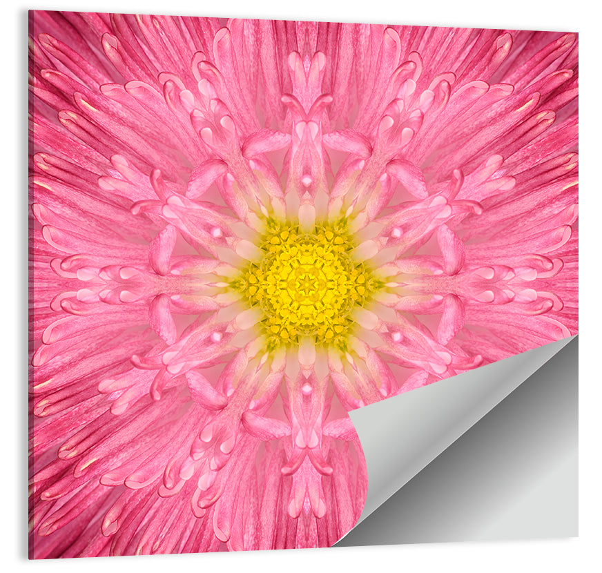 Pink Chrysanthemum Mandala Bloom Wall Art