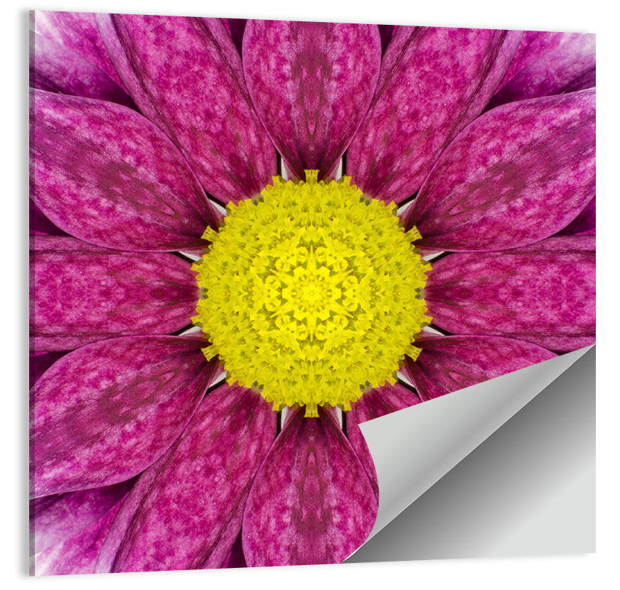 Kaleidoscopic Daisy Mandala Close Up Wall Art