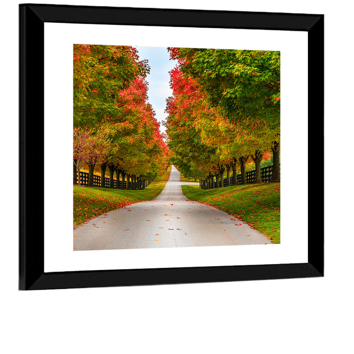 Tree-lined Farm Lane, Kentucky Wall Art as a framed print