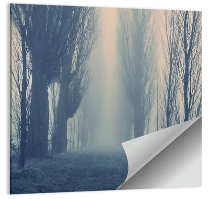 Foggy Forest Pathway Wall Art