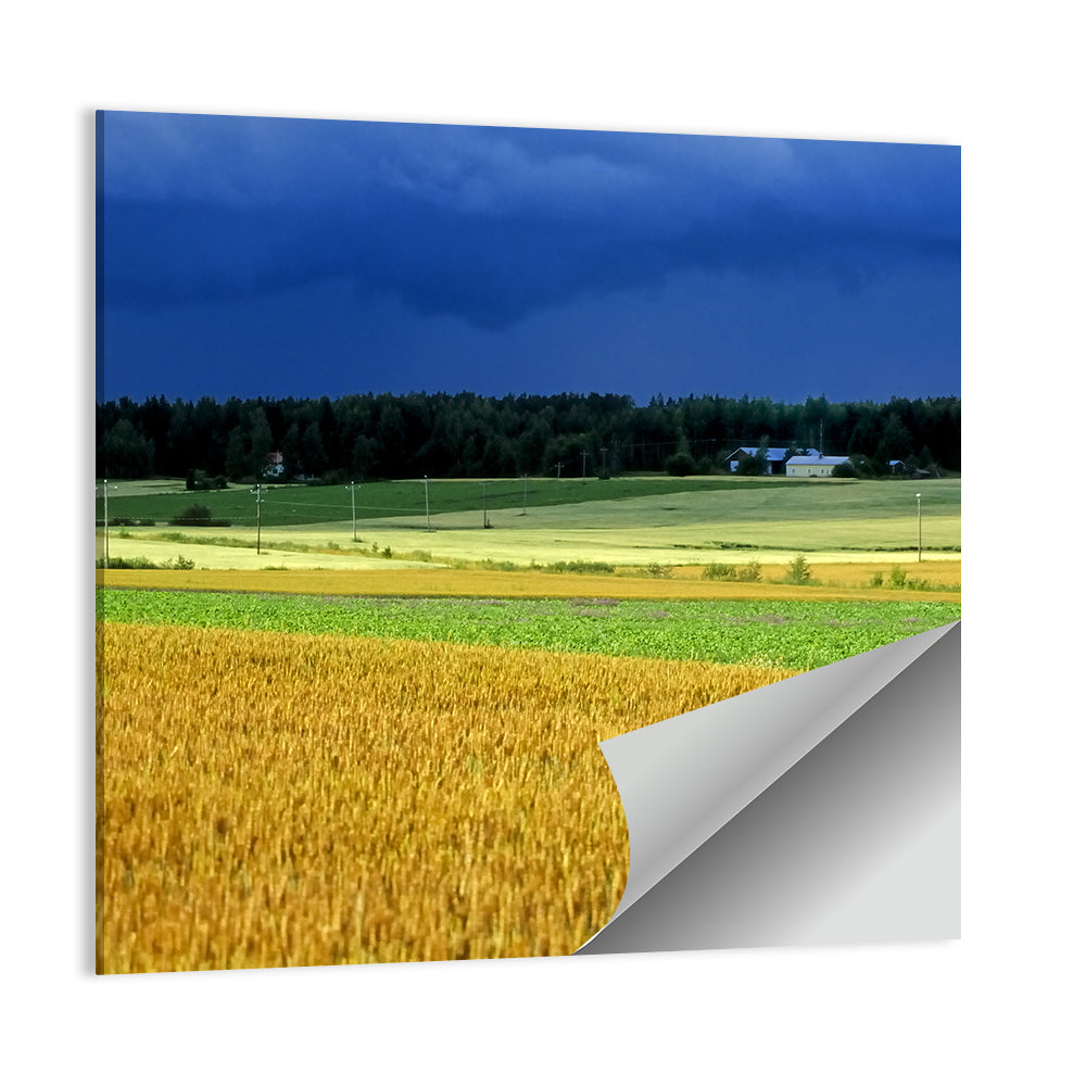 Corn Fields Farmland Wall Art