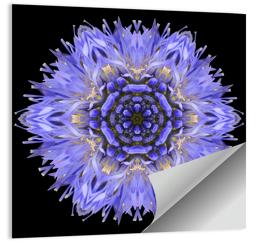 Cornflower Mandala Kaleidoscope Wall Art