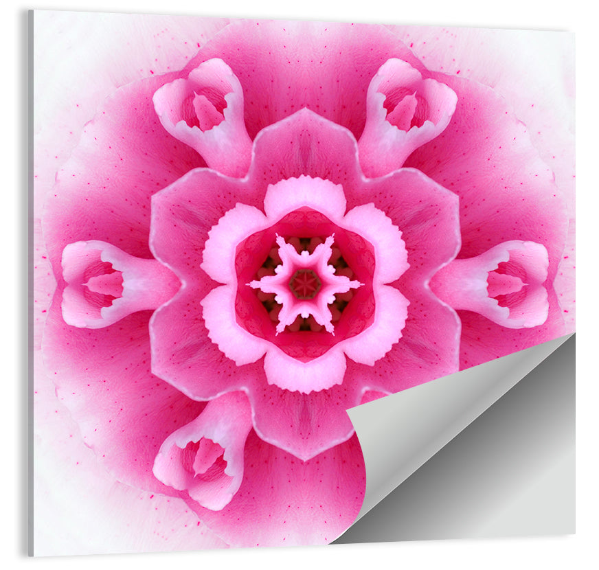 Carnation Flower Wall Art