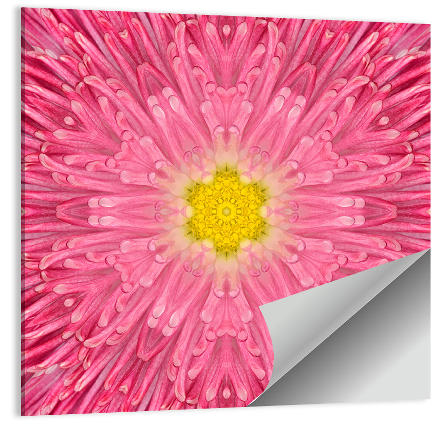 Kaleidoscopic Daisy Mandala Bloom Wall Art