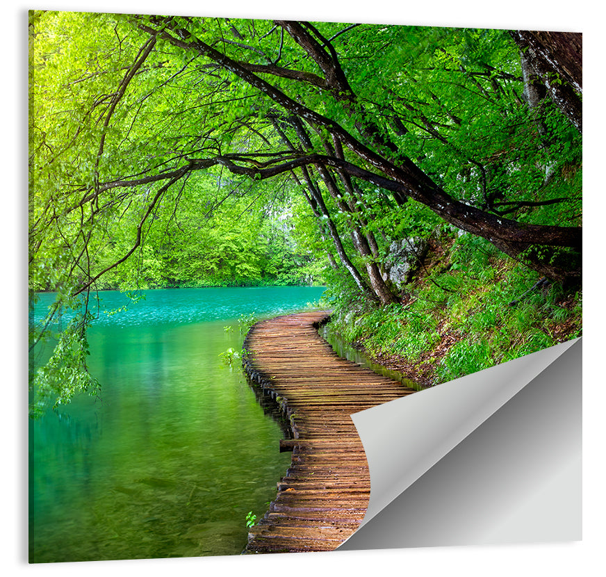 Forest Stream Pathway Wall Art